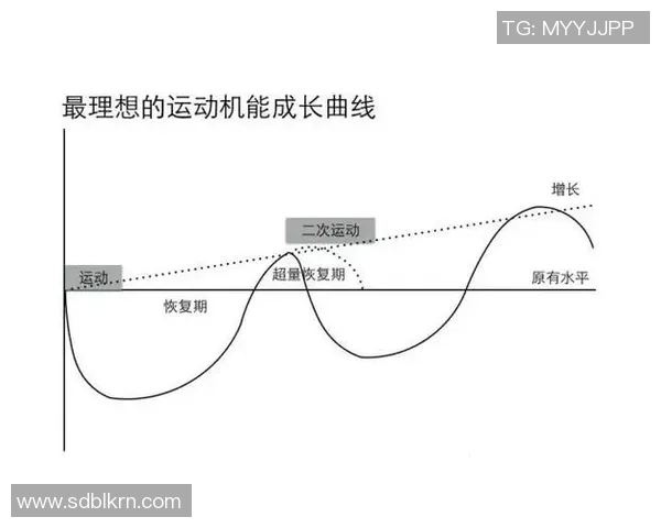 足球球星体力不支原因分析：生理负荷过大与恢复不足的双重挑战