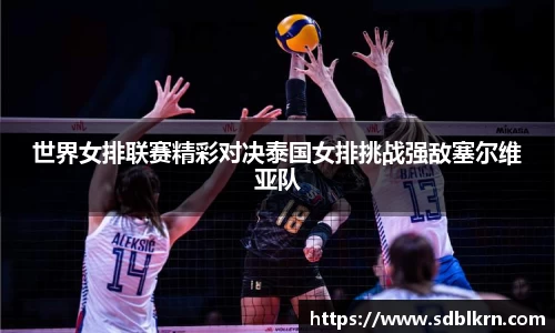 快盈VIII